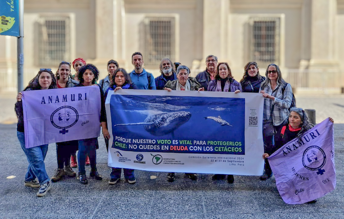 Triunfo Ciudadano Chile Pagó la Deuda