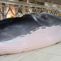 Ballena de aleta asesinada por Japón en 2025